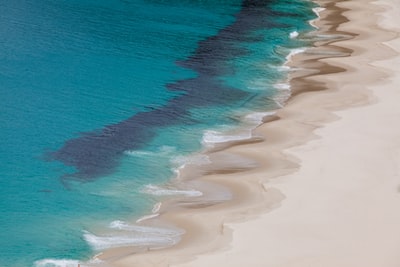 白天海滩鸟瞰图